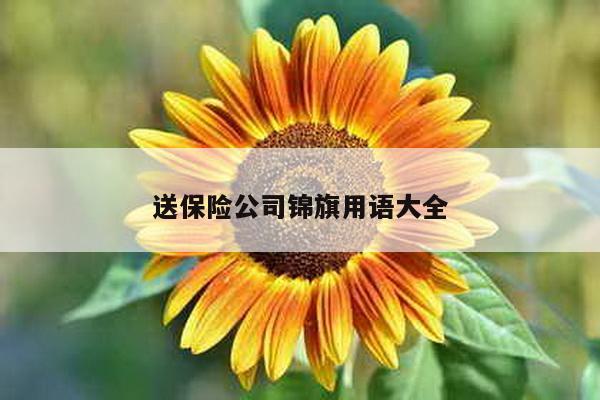 送保险公司锦旗用语大全