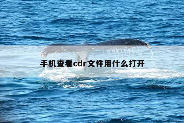 手机查看cdr文件用什么打开