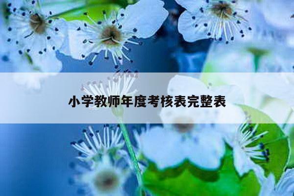 小学教师年度考核表完整表