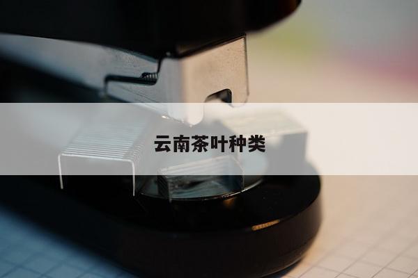 云南茶叶种类