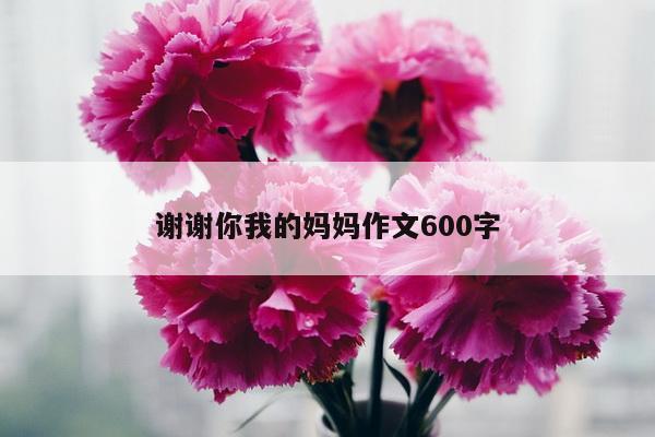 谢谢你我的妈妈作文600字