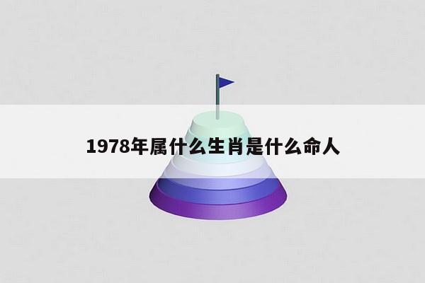 1978年属什么生肖是什么命人