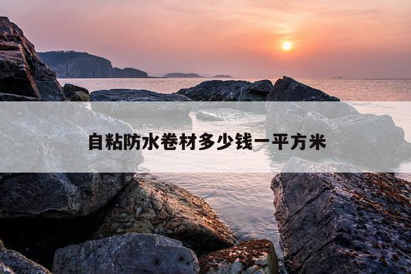 自粘防水卷材多少钱一平方米