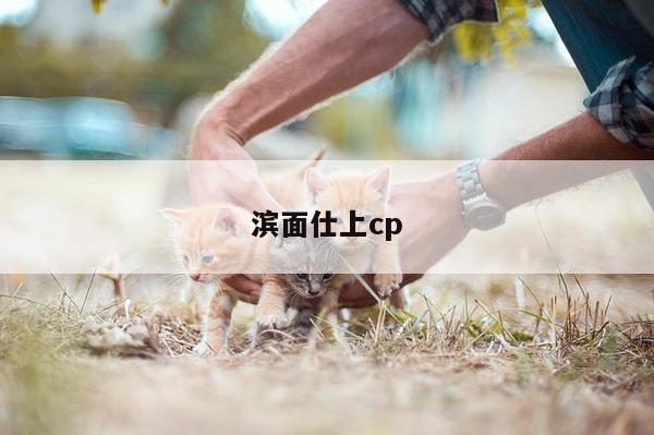 滨面仕上cp