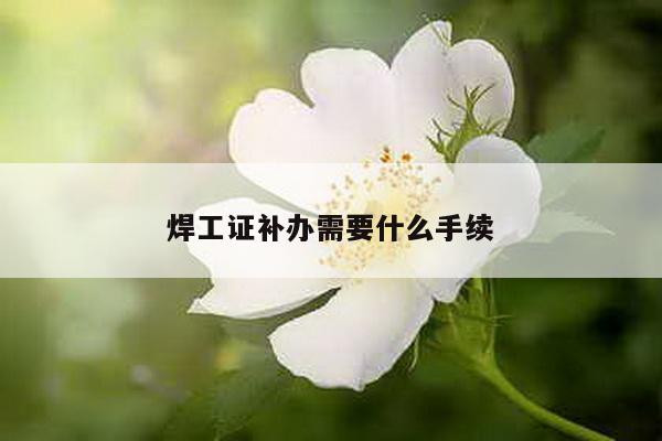 焊工证补办需要什么手续