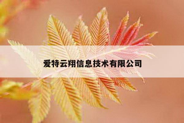 爱特云翔信息技术有限公司