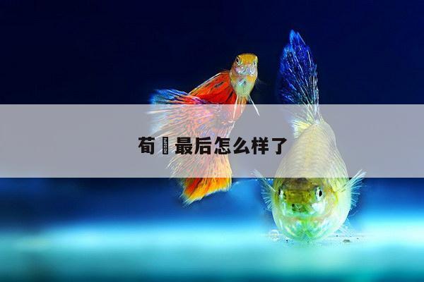 荀彧最后怎么样了