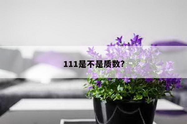 111是不是质数?