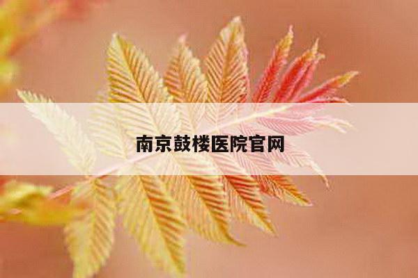 南京鼓楼医院官网