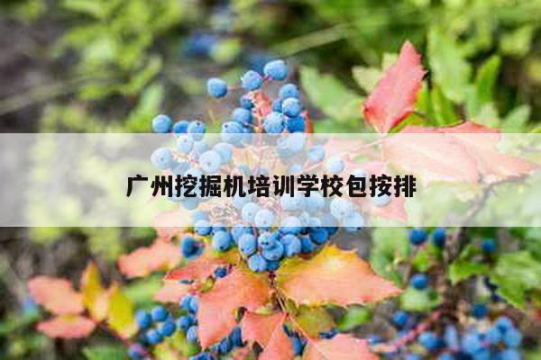 广州挖掘机培训学校包按排