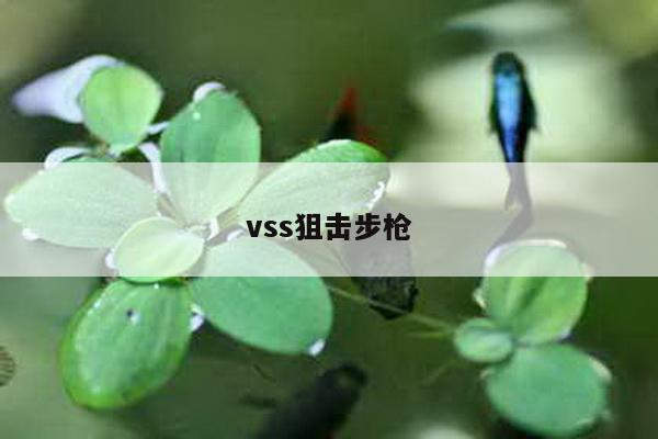 vss狙击步枪