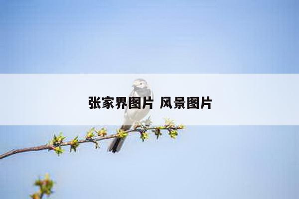 张家界图片 风景图片