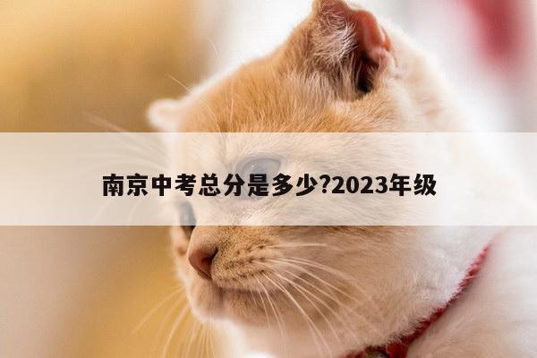 南京中考总分是多少?2023年级