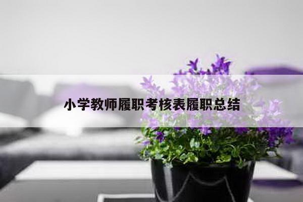 小学教师履职考核表履职总结