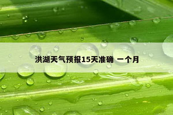 洪湖天气预报15天准确 一个月