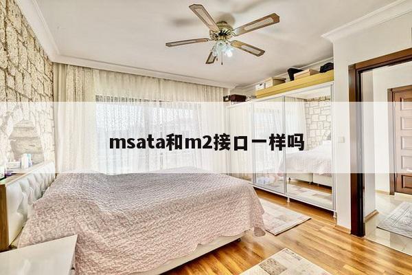 msata和m2接口一样吗