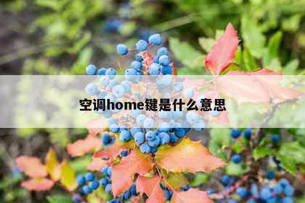 空调home键是什么意思