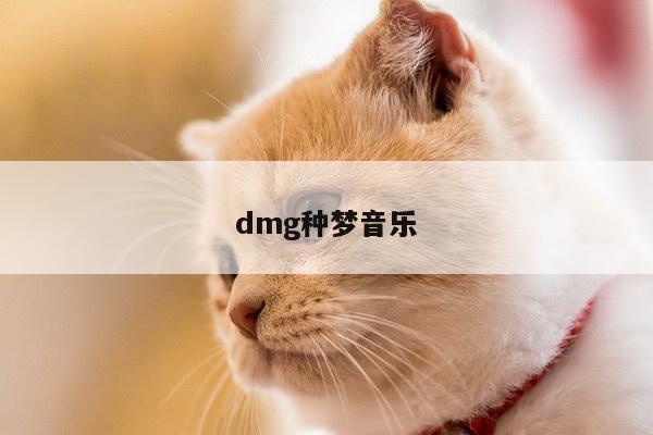 dmg种梦音乐