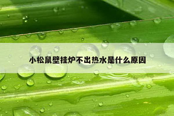 小松鼠壁挂炉不出热水是什么原因