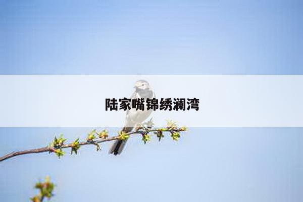 陆家嘴锦绣澜湾