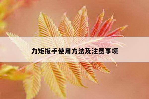 力矩扳手使用方法及注意事项