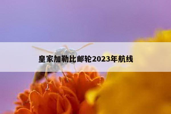 皇家加勒比邮轮2023年航线