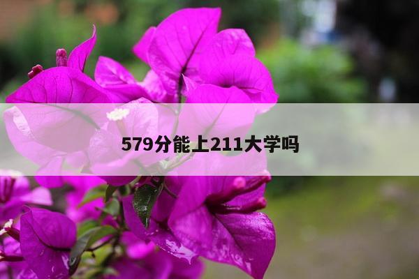 579分能上211大学吗