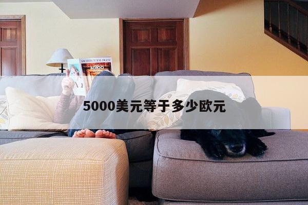 5000美元等于多少欧元