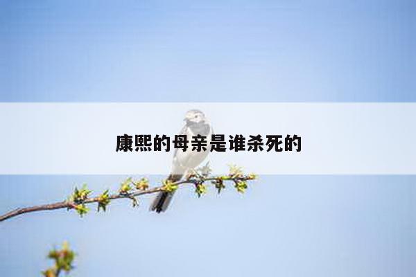 康熙的母亲是谁杀死的