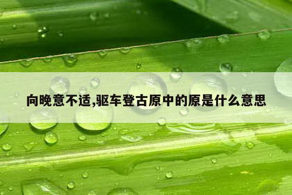 向晚意不适,驱车登古原中的原是什么意思