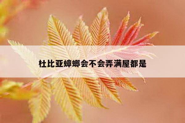 杜比亚蟑螂会不会弄满屋都是