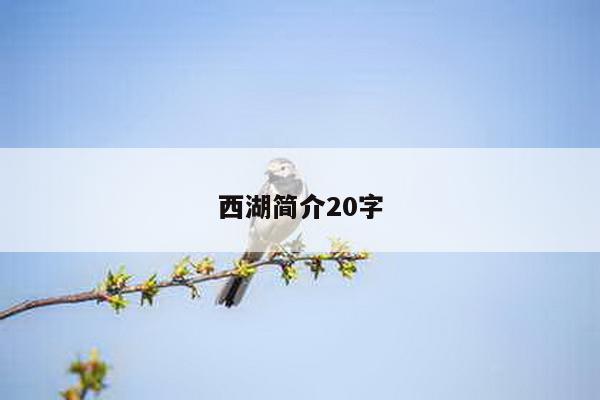 西湖简介20字