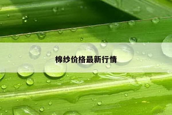 棉纱价格最新行情