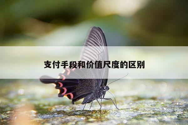 支付手段和价值尺度的区别