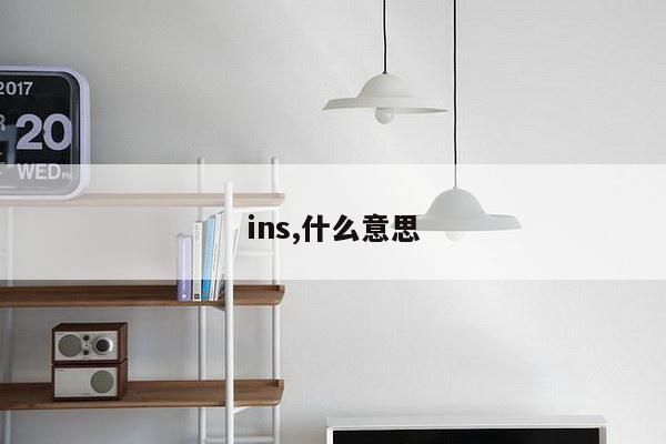 ins,什么意思