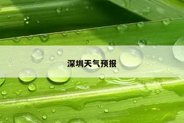 深圳天气预报