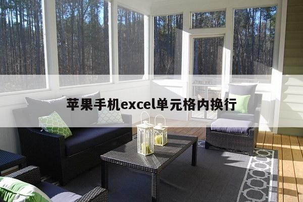 苹果手机excel单元格内换行