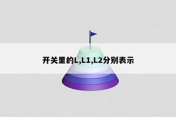 开关里的L,L1,L2分别表示