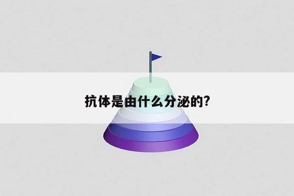 抗体是由什么分泌的?