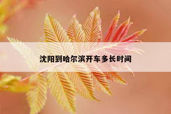 沈阳到哈尔滨开车多长时间