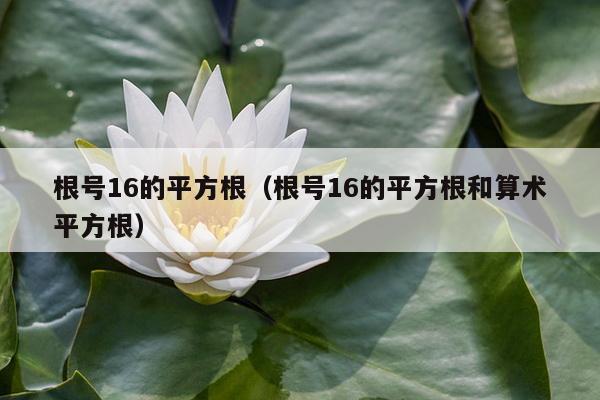 根号16的平方根（根号16的平方根和算术平方根）