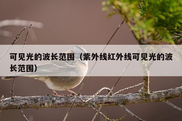 可见光的波长范围（紫外线红外线可见光的波长范围）