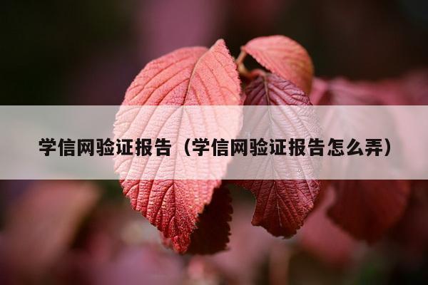 学信网验证报告（学信网验证报告怎么弄）