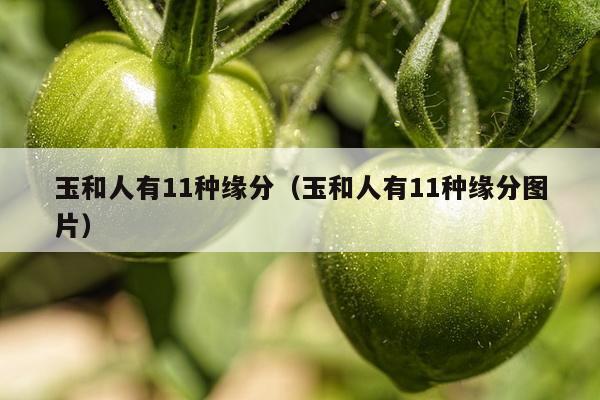 玉和人有11种缘分（玉和人有11种缘分图片）