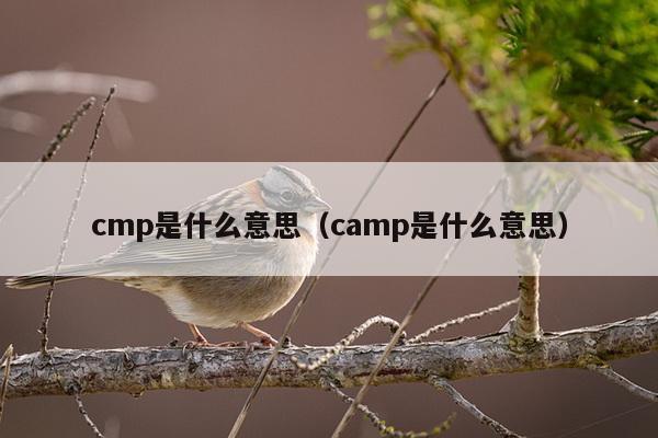 cmp是什么意思（camp是什么意思）