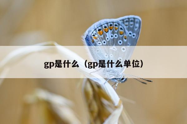 gp是什么（gp是什么单位）