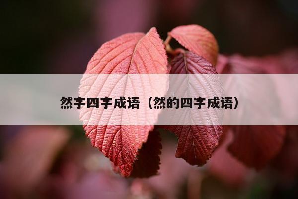 然字四字成语（然的四字成语）