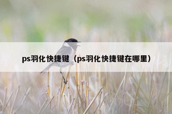 ps羽化快捷键（ps羽化快捷键在哪里）