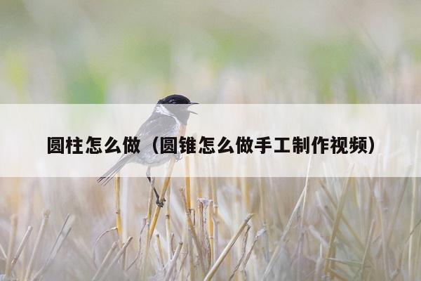 圆柱怎么做（圆锥怎么做手工制作视频）