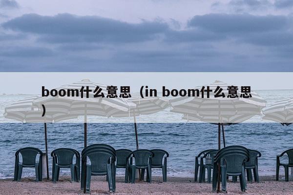 boom什么意思（in boom什么意思）